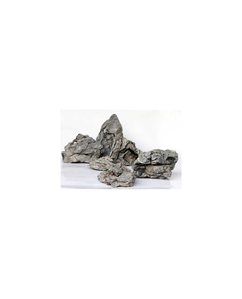 ADPS040S ADPS040S