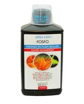 EAFO1002
