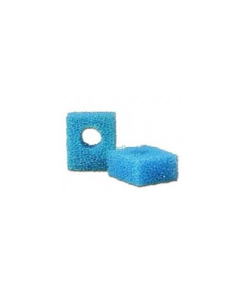 H2615600 H2615600