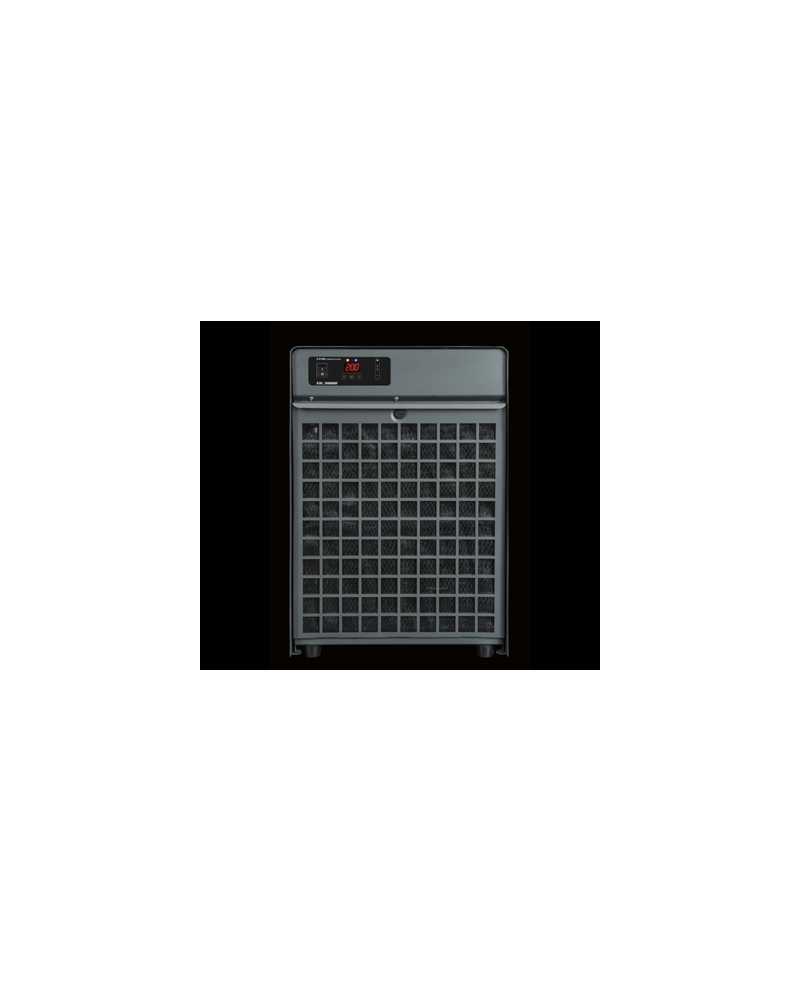 T143142 T143142