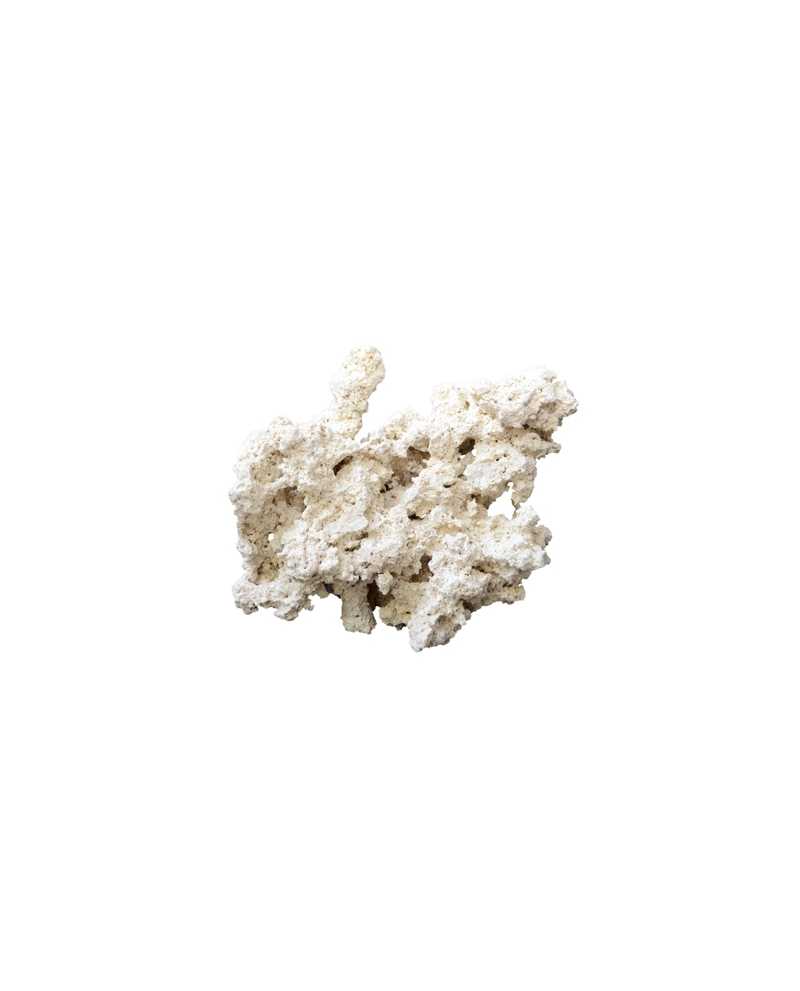 ROCHE REEF-ROCKS naturel aragonite 25-40cm (carton de 20kg) ARKA ROCHE REEF-ROCKS naturel aragonite 25-40cm (carton de 20kg) ARKA