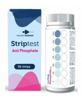 STRIPPO001A