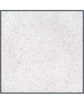 D80831