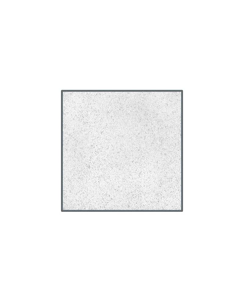 D80831 D80831