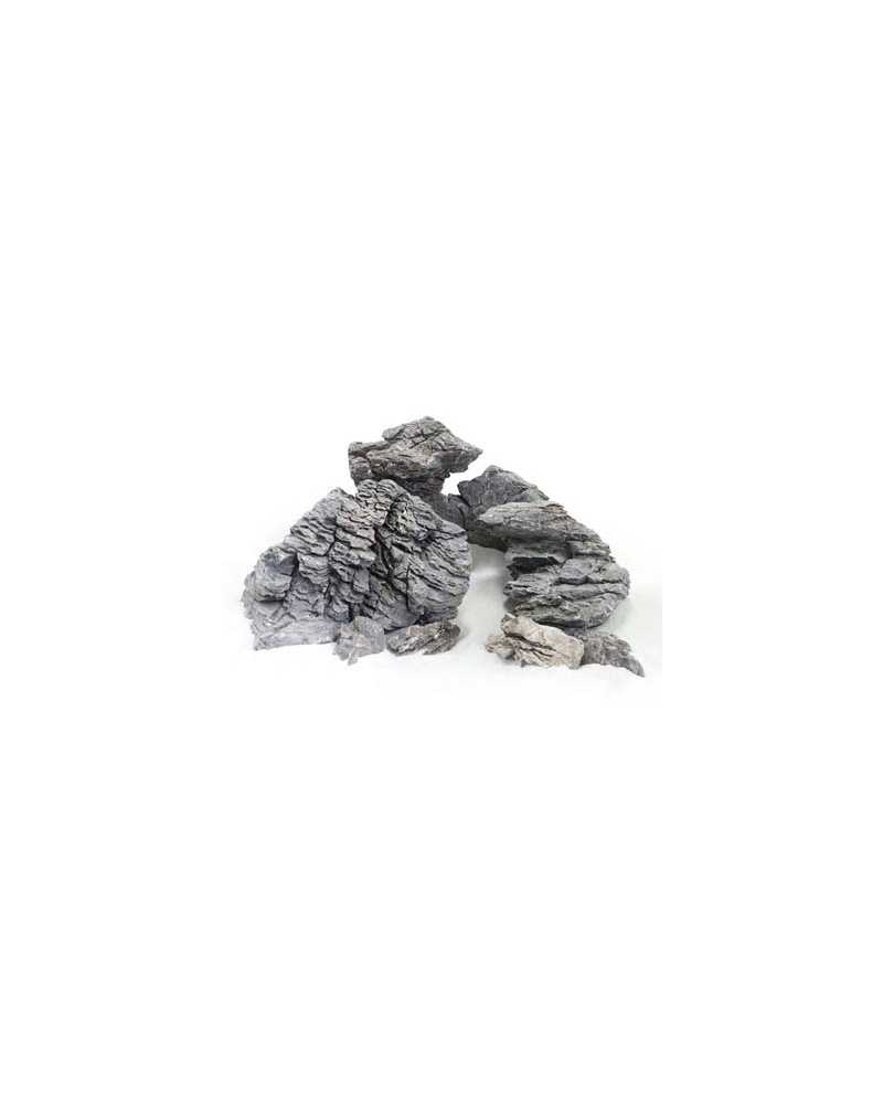 S091061 S091061