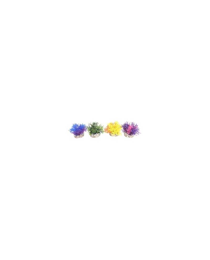 S093043 S093043
