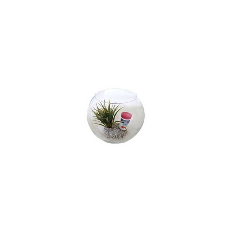 Boules