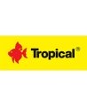 Tropical